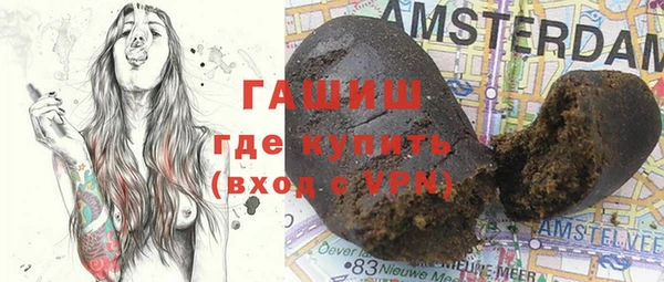 стаф Алексин