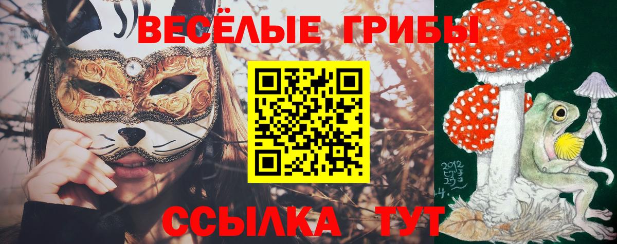 Псилоцибиновые грибы MAGIC MUSHROOMS Нарткала