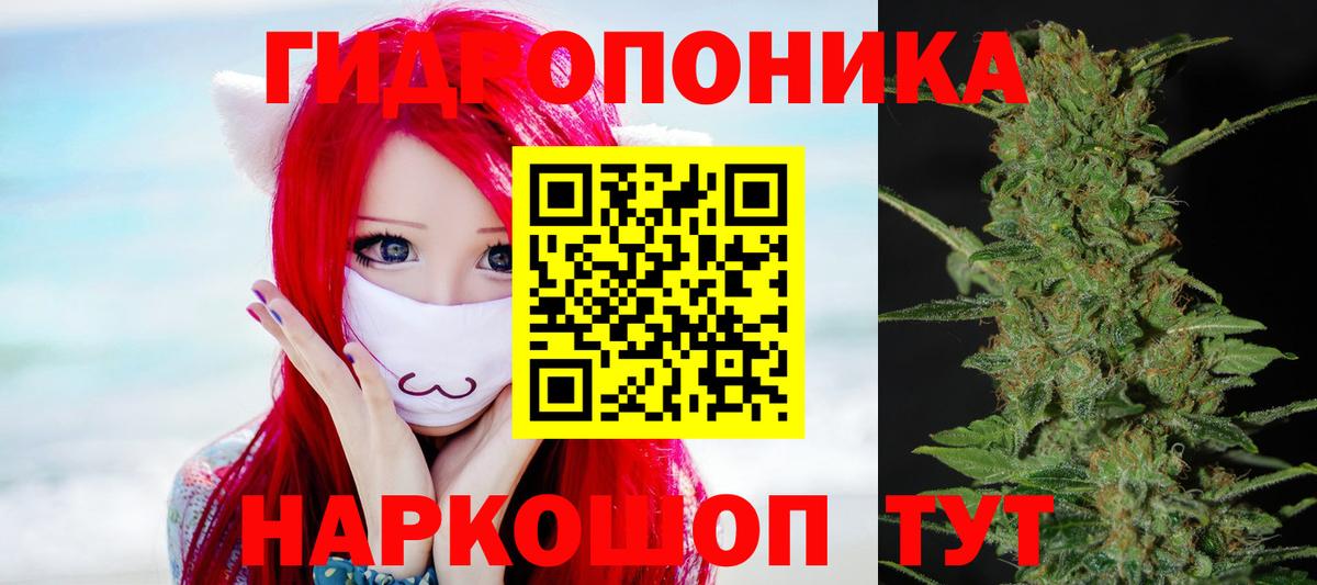Бошки марихуана Bruce Banner Нарткала